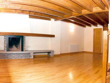 Salón comedor con chimenea y cocina americana